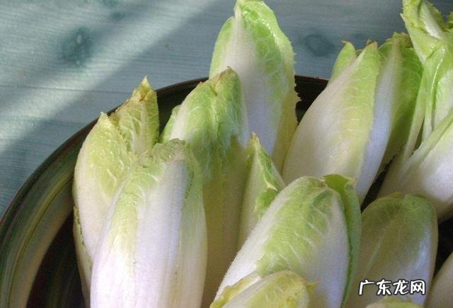 什么样的女性容易得痛风?