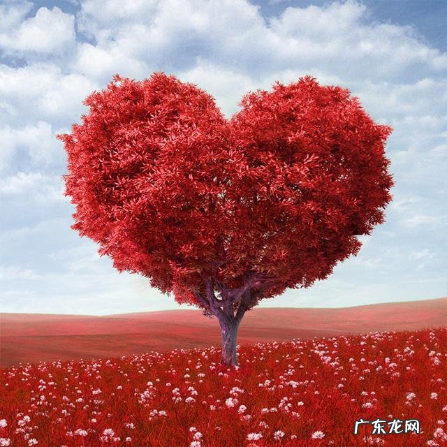 情侣是性格互补好?还是性格相似好?