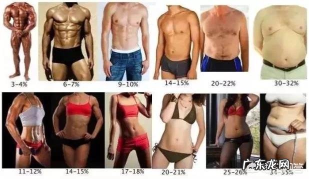 每天多少仰卧起坐才能见到腹肌?