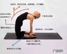 如何循序渐进的调整瑜伽后弯体式的练习呢？