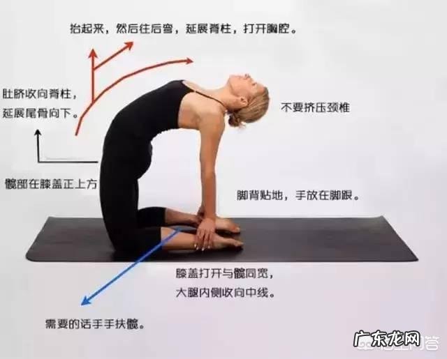 如何循序渐进的调整瑜伽后弯体式的练习呢?