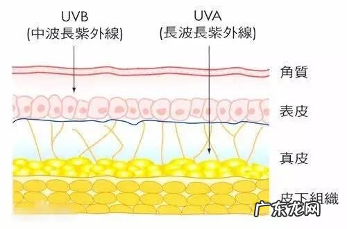 如何去眼袋最有效维生素e能上榜吗