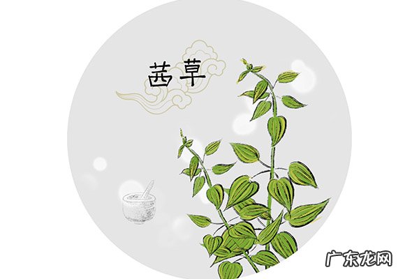 茜草的功效与作用