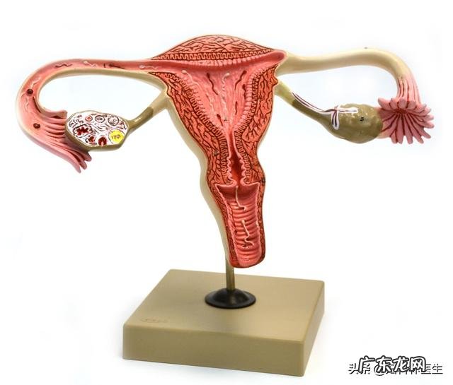 子宫内膜增厚是什么引起的？