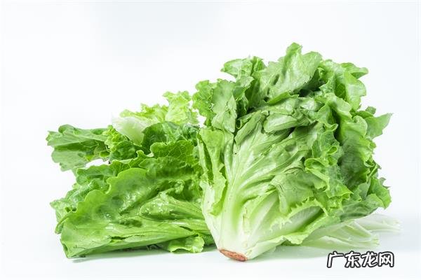 七个妙方巧去口臭,三天去除口臭的方法