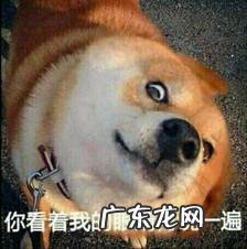 腿粗的妹子上身比较瘦,该如何搭配衣服?