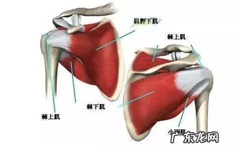 肩周炎太难受了,有好办法吗?