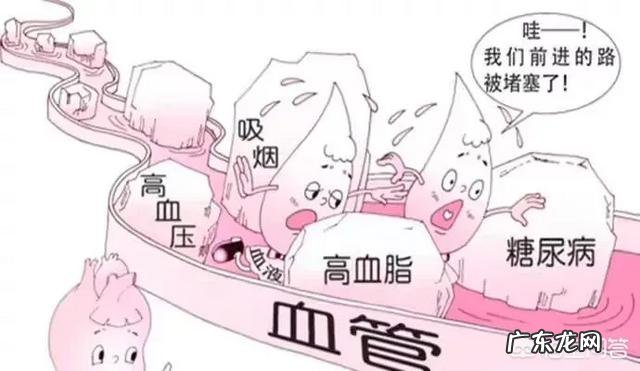 冠心病高血压患者平时吃什么比较好？