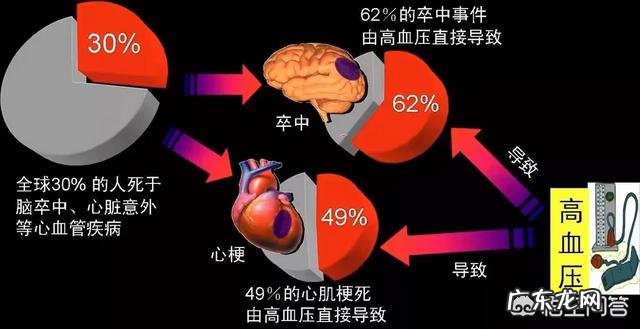 冠心病高血压患者平时吃什么比较好？