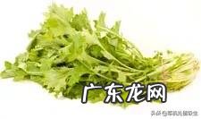 一个月坚持吃水果和蔬菜能瘦几斤 每天只吃蔬菜和水果,30个月瘦十斤是不是真的?