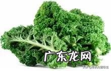 一个月坚持吃水果和蔬菜能瘦几斤 每天只吃蔬菜和水果，30个月瘦十斤是不是真的？