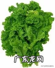 一个月坚持吃水果和蔬菜能瘦几斤 每天只吃蔬菜和水果,30个月瘦十斤是不是真的?