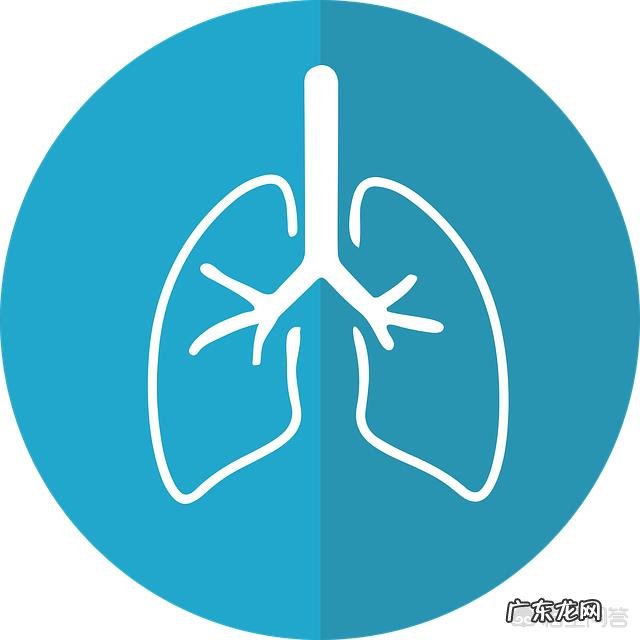 为什么人们吸进去的是氧气,呼出来就变成二氧化碳了?