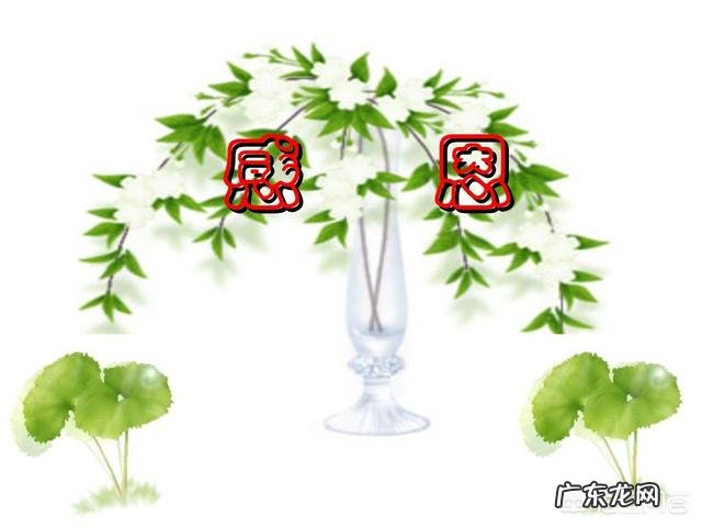 晚上睡觉的时候,有时候会被胃里返上来的酸水呛醒,怎么回事?