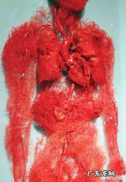 冬天早晨跑步需要有什么注意的吗。或者好的建议提一下,谢了?