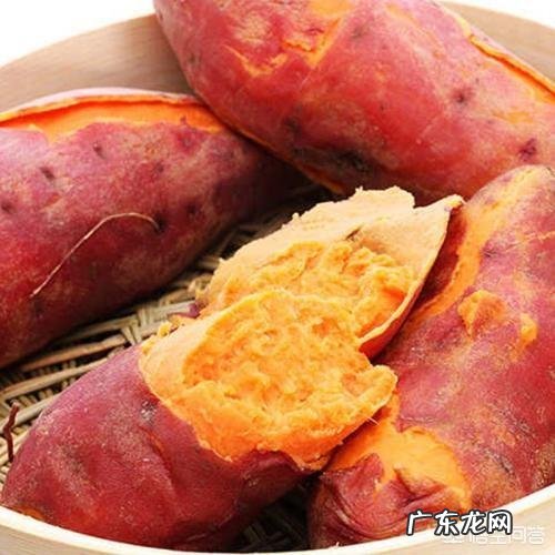 淀粉含量最少的红薯是哪个品种,咋种?