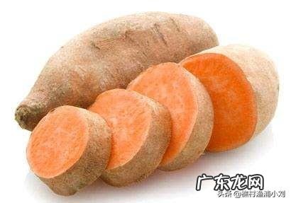 淀粉含量最少的红薯是哪个品种,咋种?