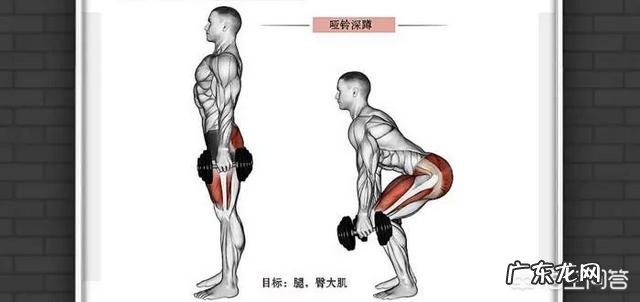 该怎么用哑铃锻炼自己的耐力