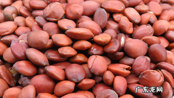 酸枣仁怎么吃治失眠,酸枣仁配什么治失眠