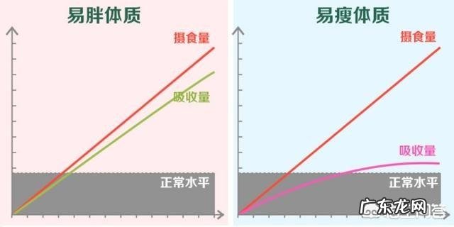 多活动可以养成易瘦体质吗?