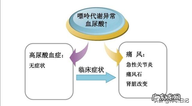 如何区分痛风的急性期和慢性期?
