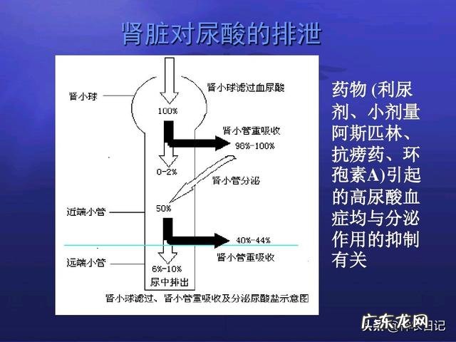 如何区分痛风的急性期和慢性期?