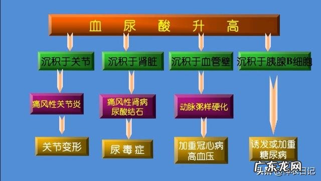 如何区分痛风的急性期和慢性期?