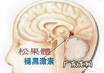 服用褪黑素的好处和坏处分别是什么?