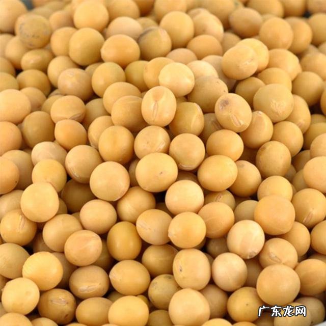 代餐食品真的可以减肥吗?