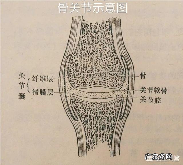 胆结石患者，应该如何调理饮食