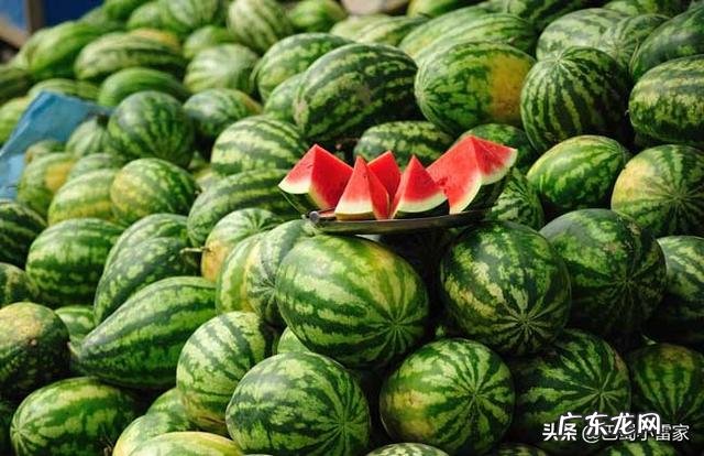 夏天吃西瓜一天吃几个比较好?