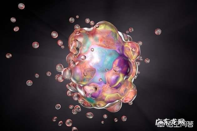 迄今为止对人类文明贡献最大的是哪个国家