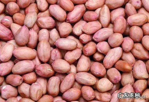 用什么小药泡花生米钓草鱼?