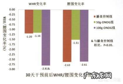 每天用燕麦当主食可以减肥吗?