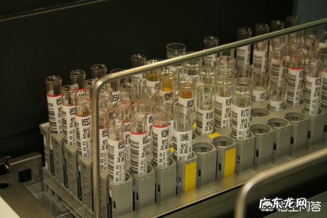 献血小板与献全血是一样的吗