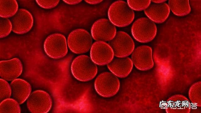 献血小板与献全血是一样的吗