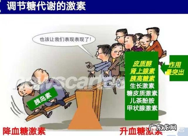 是谁最早提出了中国女排“朱袁张”其主要目的是为了捧谁