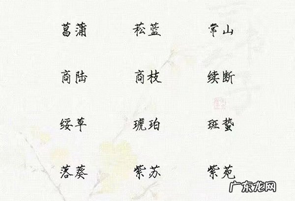 100个好听又特殊的中药名字，唯美又清新的中药名