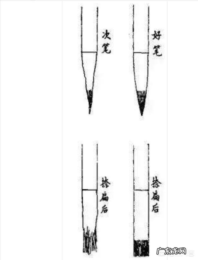 初学书法者,选毛笔有讲究吗?