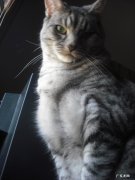 如何预防在健身时候猝死？