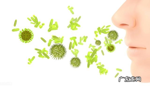 经常感冒的人吃什么东西会增强身体的免疫力?