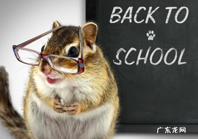 你们是怎么减肥的？是如何坚持下来的？