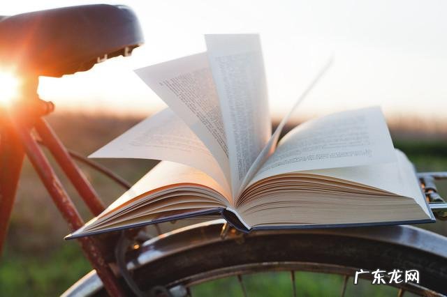 你们是怎么减肥的?是如何坚持下来的?