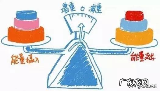 要想瘦下来,每天得吃多少饭,怎么变成易瘦体质?