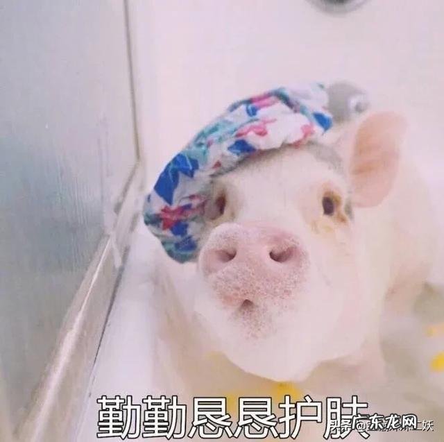 护肤品需要坚持用多久才有效？ 最有效的抗衰抗皱护肤品