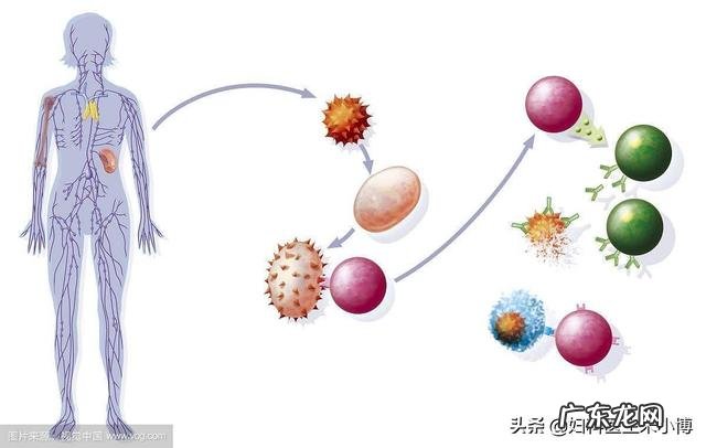 得了慢性胃炎要多久才能zhi好？ 慢性浅表性胃炎中药能zhi好么