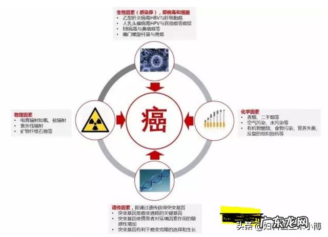 得了慢性胃炎要多久才能zhi好？ 慢性浅表性胃炎中药能zhi好么