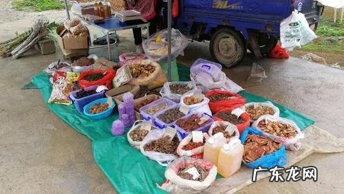 广场摆地摊卖的中药材为什么那么便宜，能买吗？