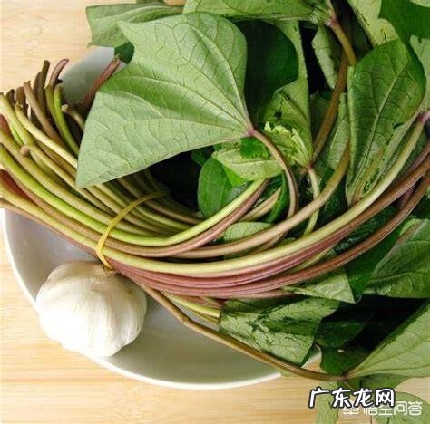 为什么有人说“霜打的红薯叶赛过黑珍珠”?