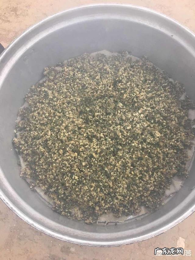 为什么有人说“霜打的红薯叶赛过黑珍珠”?